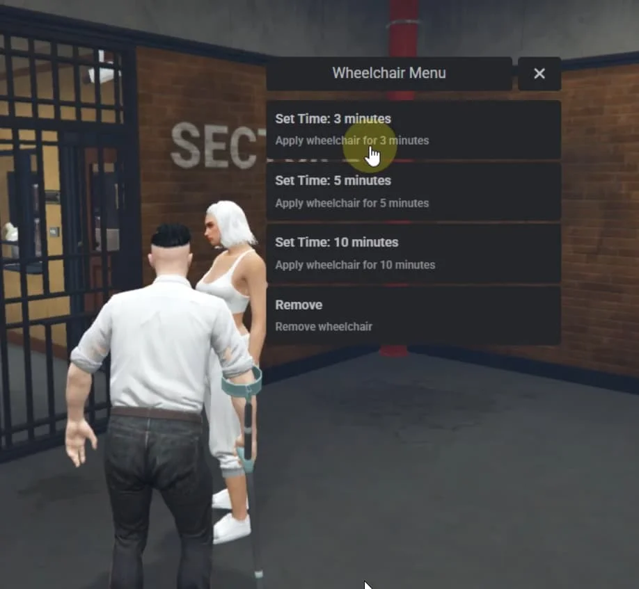 Crutch System with Wheelchair - Bild 2