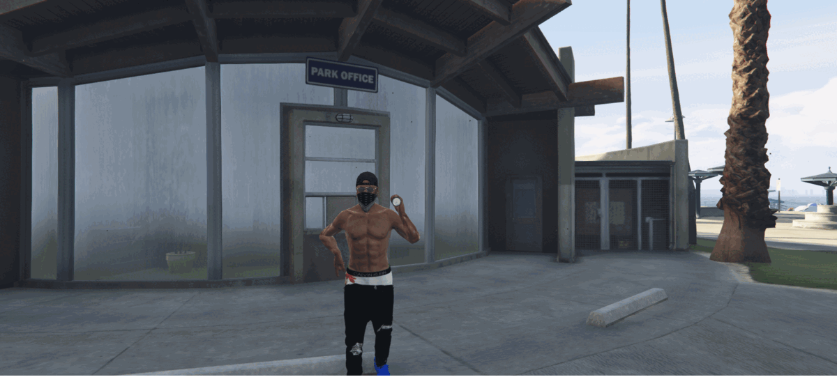 NoPixel Emotes System - FiveM ESX FiveM Script — esx 2