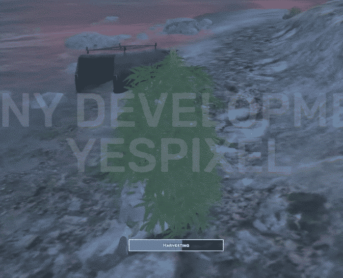 LunnyDev Marihuana Plants 2